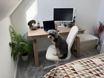 Why a smart desk is the best investment for WFH in 2026