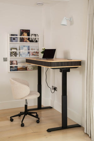 Elin Height Adjustable Desk