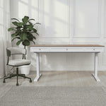 Felix & Frida Office Bundle