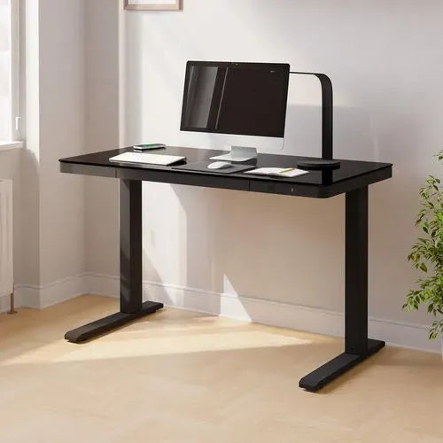 Juno 4.0 Height Adjustable Desk