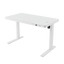 Juno 4.0 Height Adjustable Desk